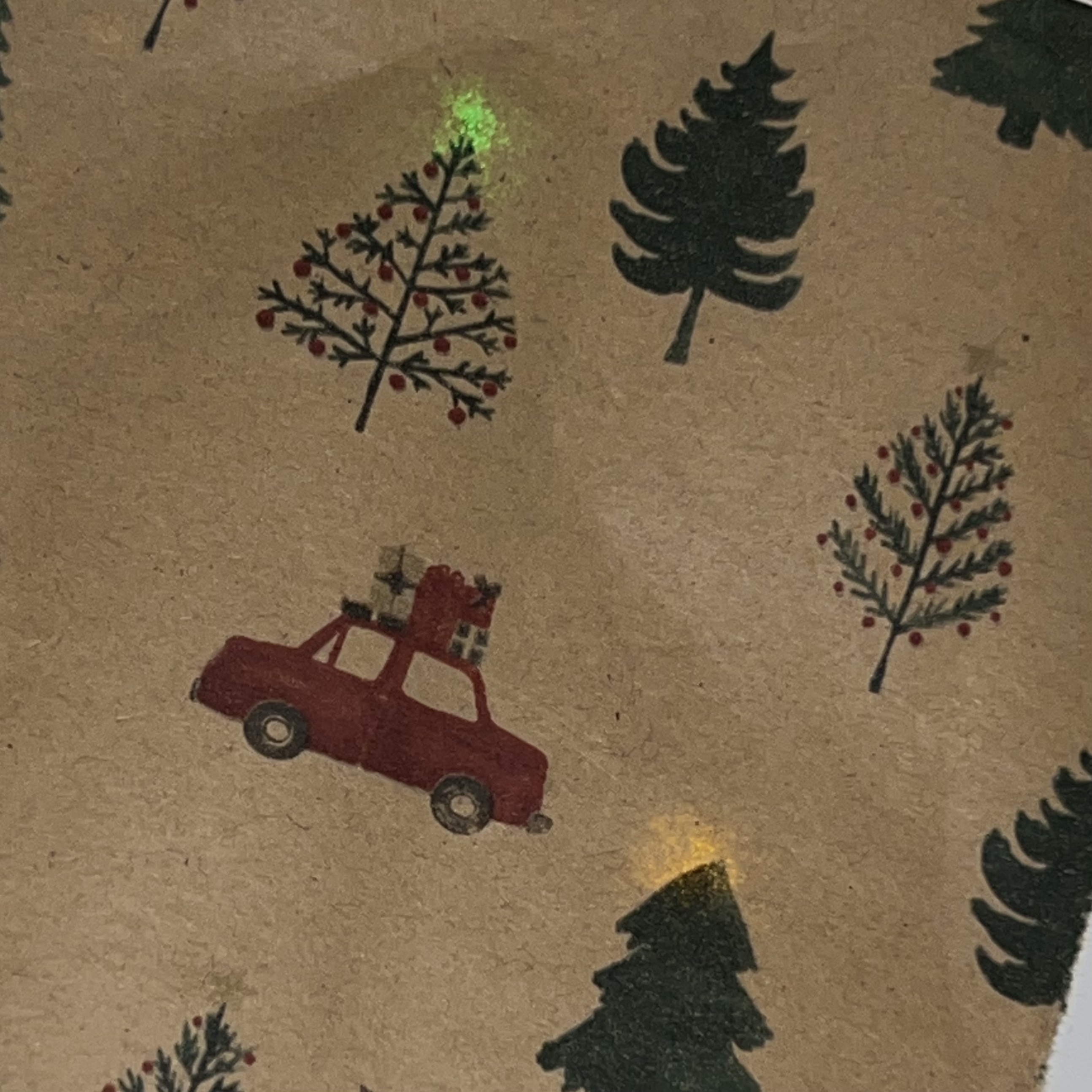 Wrapping paper lit up behind trees and car